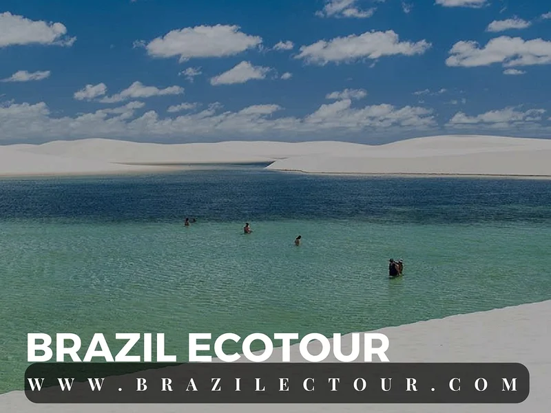 Parc des lençois Maranhenses — Parc national Lencois Maranhenses (Brésil)