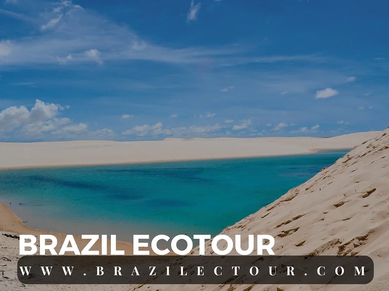 Parc des lençóis Maranhenses — Parc national Lencois Maranhenses (Brésil)