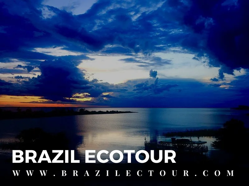 circuit foret amazonienne