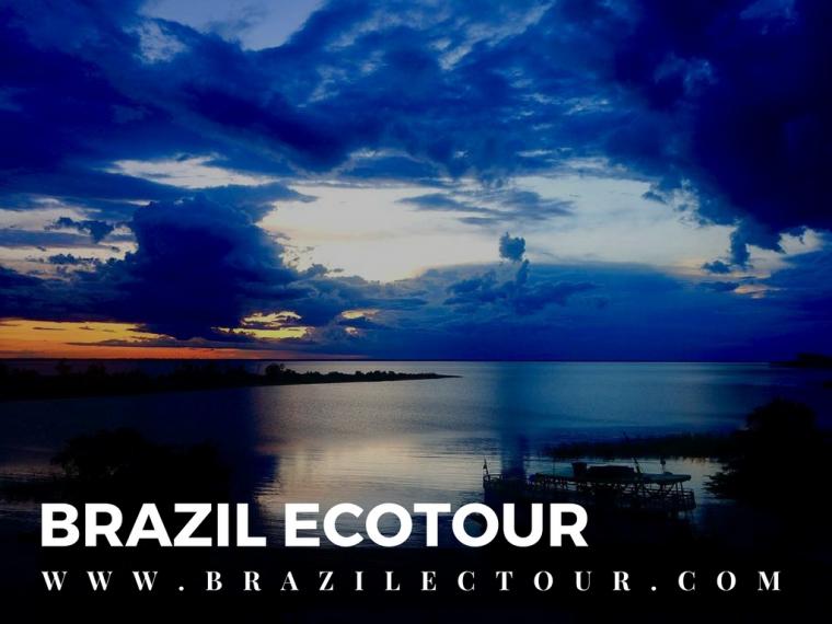 circuit foret amazonienne