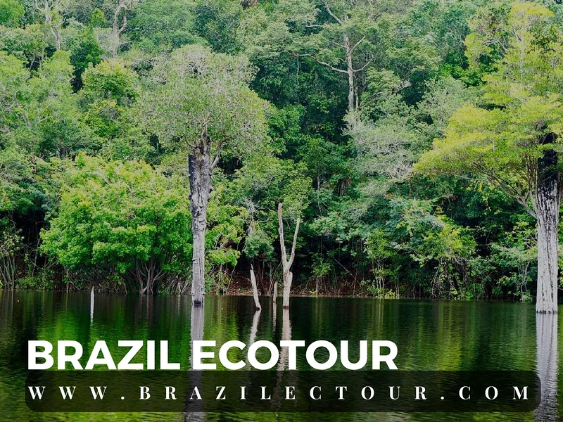 circuit foret amazonienne — Rencontre des eaux (Brésil)