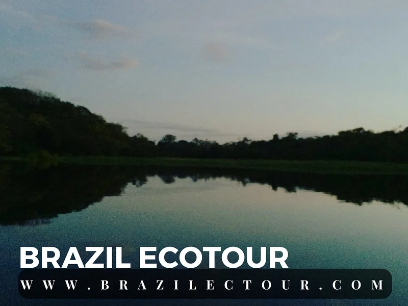 circuit foret amazonienne — Rencontre des eaux (Brésil)