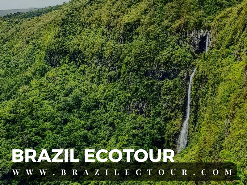circuit foret amazonienne — Rencontre des eaux (Brésil)