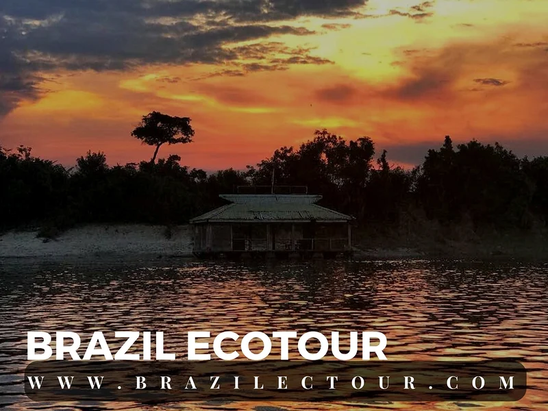 circuit foret amazonienne — Rencontre des eaux (Brésil)