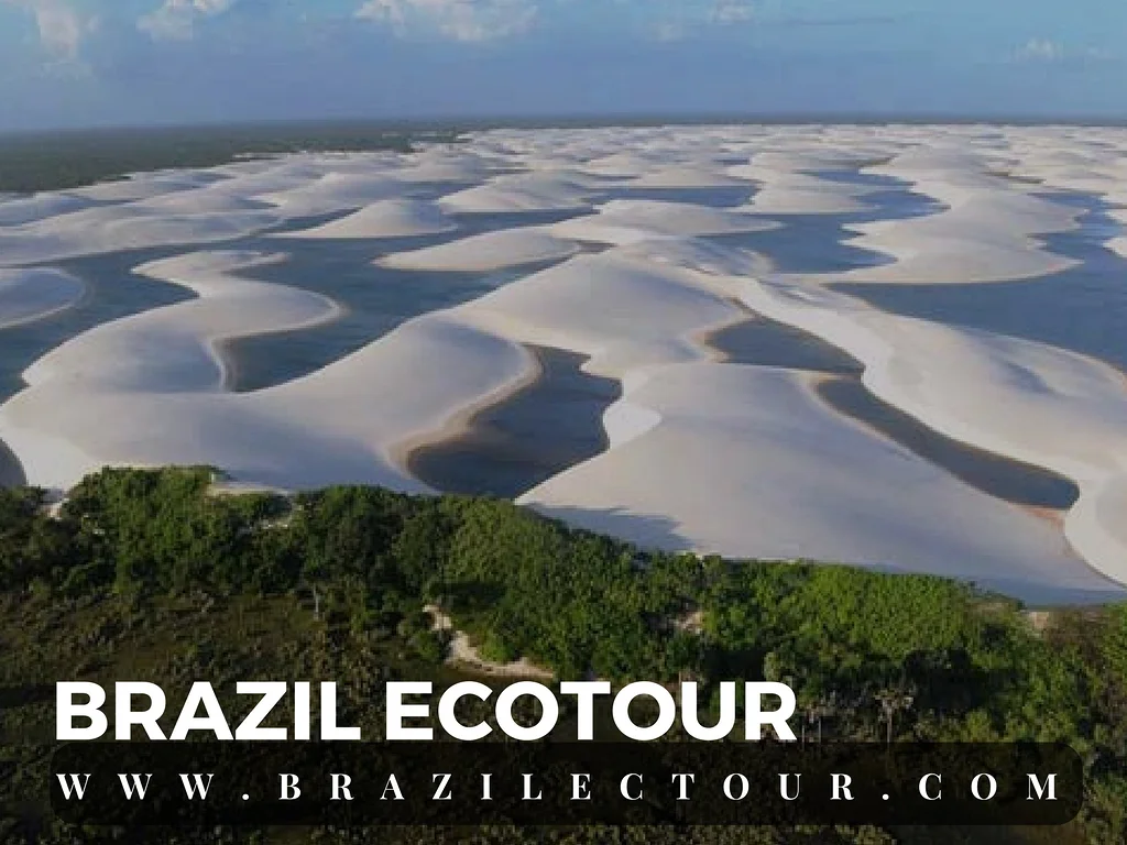 Parc des lençois Maranhenses Parc des lençois Maranhenses — Parc national Lencois Maranhenses (Brésil)