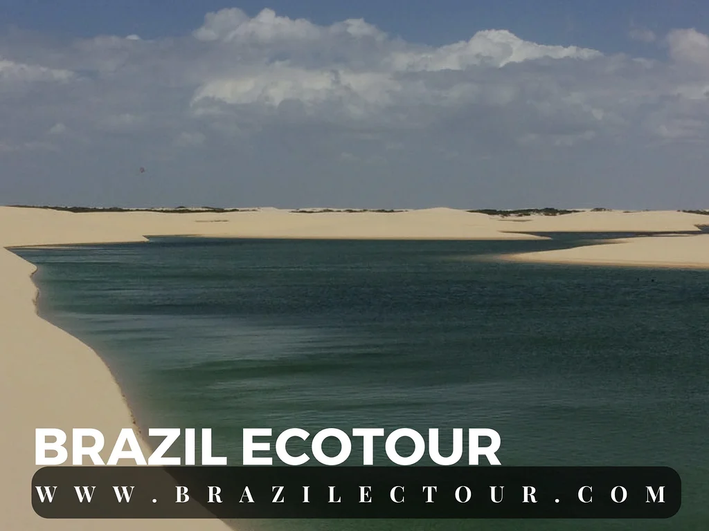 Parc des lençois Maranhenses Parc des lençois Maranhenses — Parc national Lencois Maranhenses (Brésil)