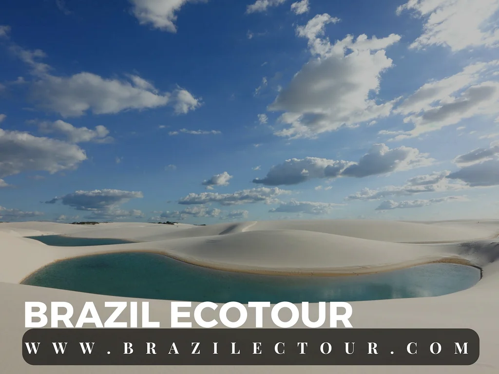 Parc des lençois Maranhenses Parc des lençois Maranhenses — Parc national Lencois Maranhenses (Brésil)
