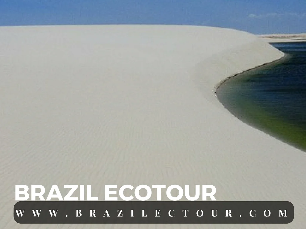 Parc des lençois Maranhenses Parc des lençois Maranhenses — Parc national Lencois Maranhenses (Brésil)