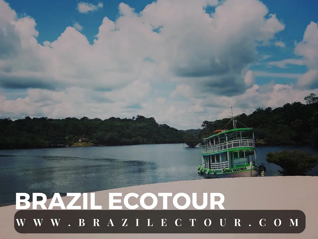 circuit foret amazonienne — Rencontre des eaux (Brésil)