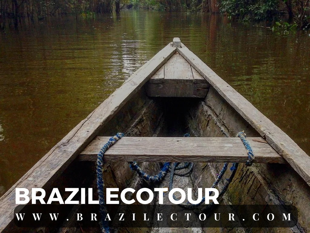 circuit foret amazonienne — Rencontre des eaux (Brésil)