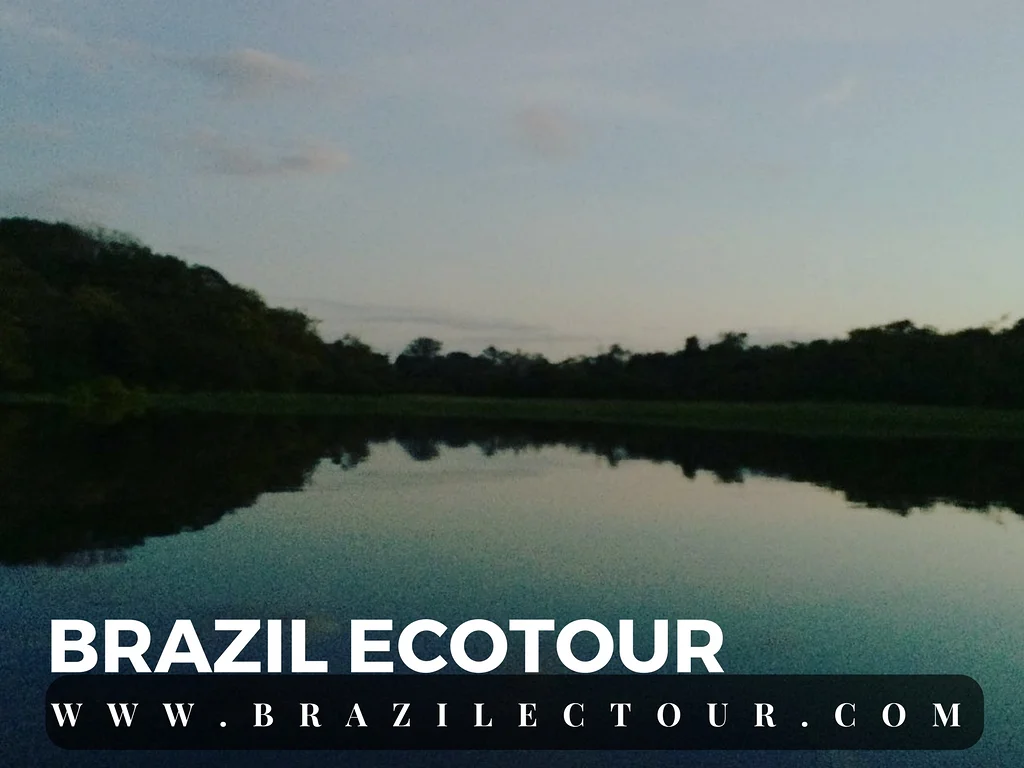 circuit foret amazonienne — Rencontre des eaux (Brésil)