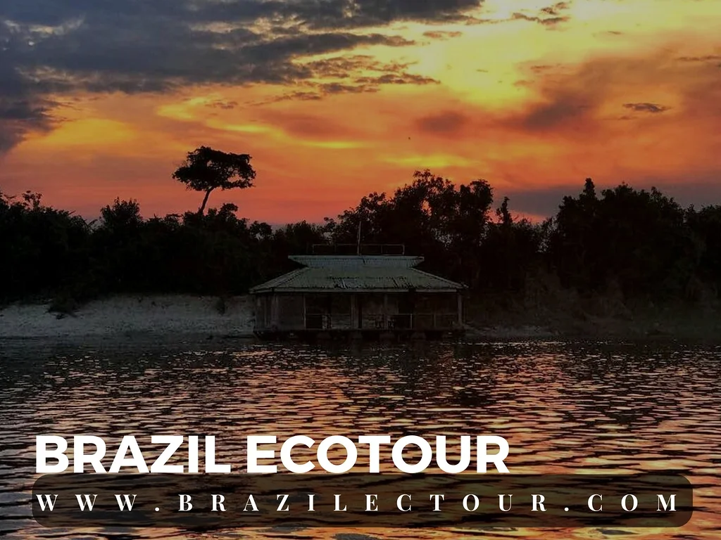circuit foret amazonienne — Rencontre des eaux (Brésil)