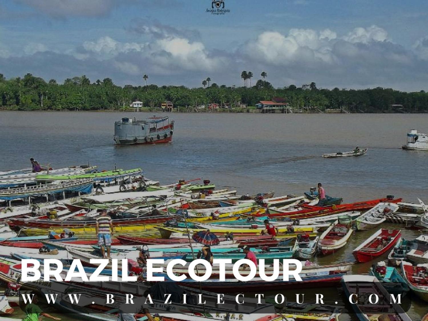 circuit foret amazonienne