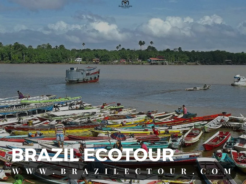 circuit foret amazonienne