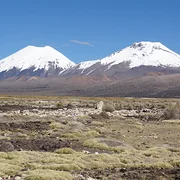 Parc National Sajama