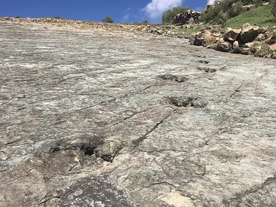 Traces de dinosaures Ninu Mayu