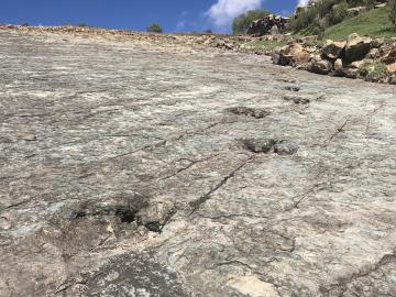 Traces de dinosaures Ninu Mayu