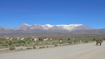 Vue sur le massif de l'Alto Toroni ©Thaki Voyage