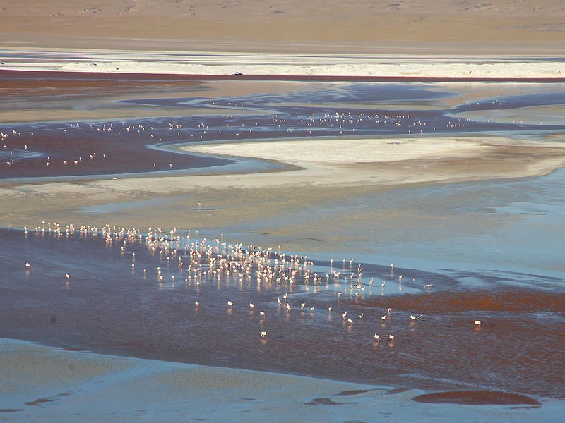 Laguna Colorada 2