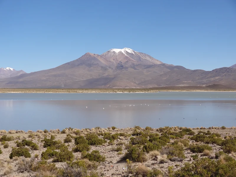 parc national sajama 2 — Parc National Sajama (Bolivie)
