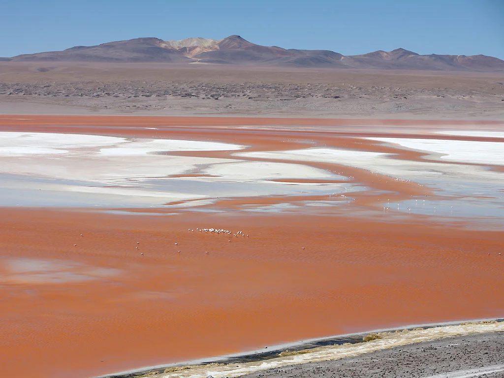 Laguna Colorada 3 — Laguna Colorada (Bolivie)