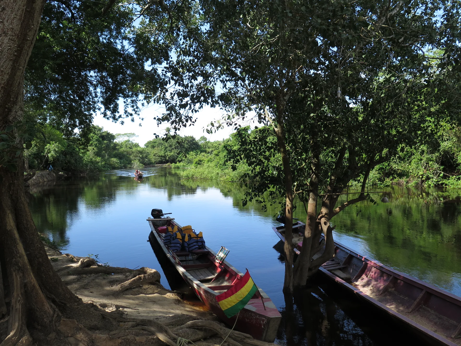 Amazonie 3 (Bolivie)