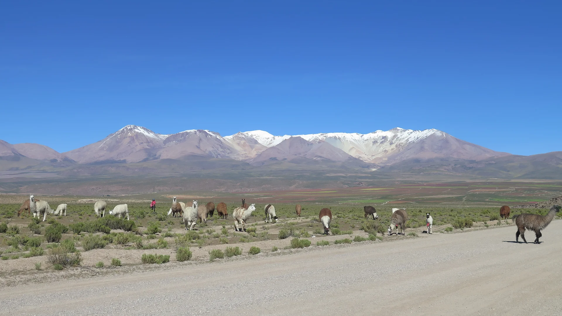 Vue sur le massif de l'Alto Toroni ©Thaki Voyage — Sillajhuay (Bolivie)