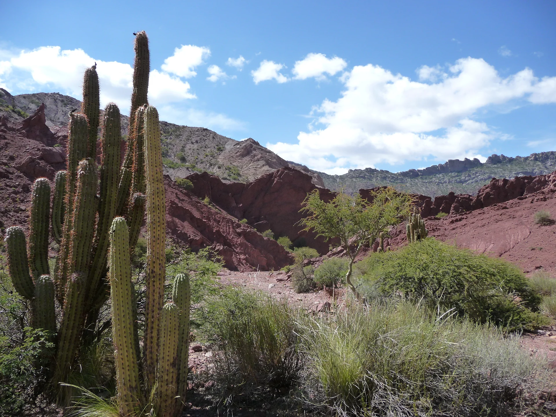 Bolivie   alentours de Tupiza 4 ©Thaki Voyage — Tupiza (Bolivie)