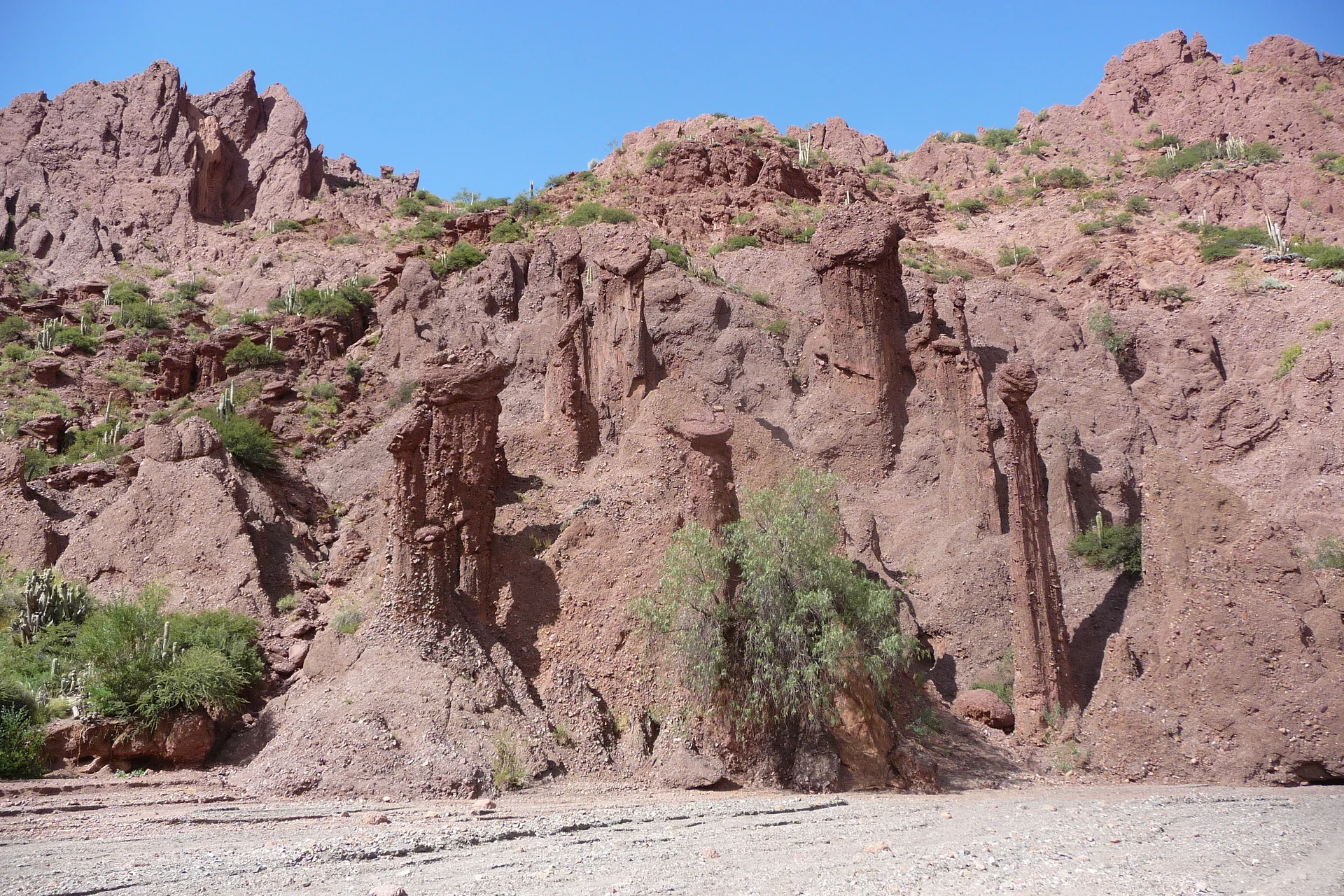 Bolivie   alentours de Tupiza 5 ©Thaki Voyage (Bolivie)