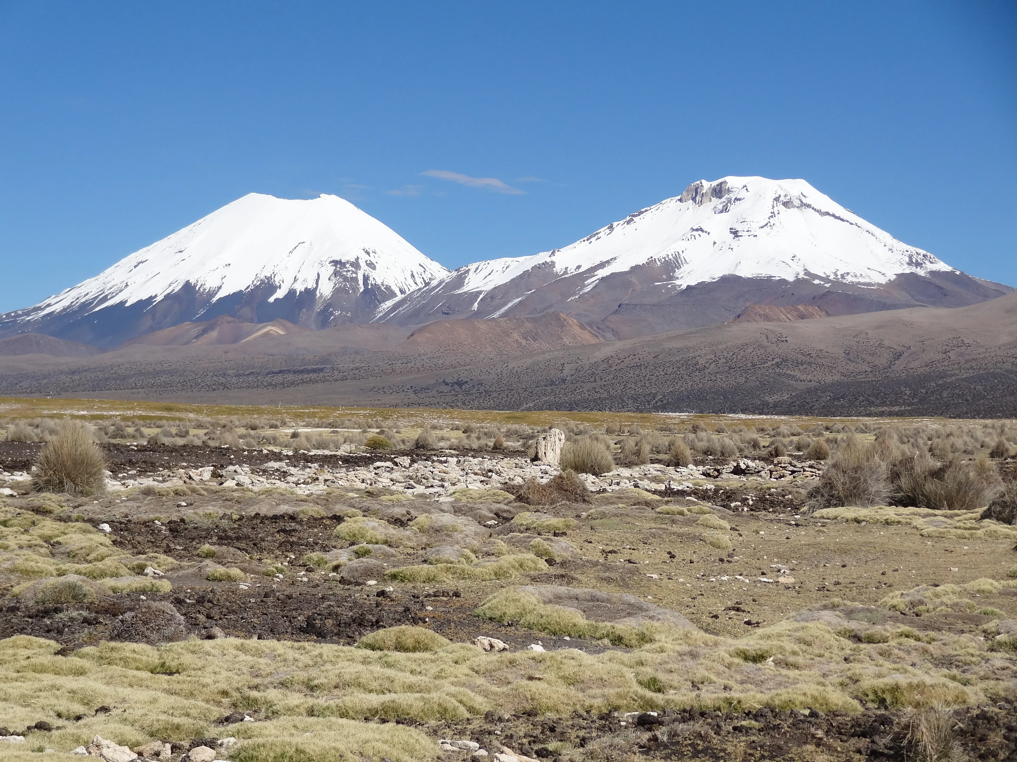Parc national Sajama