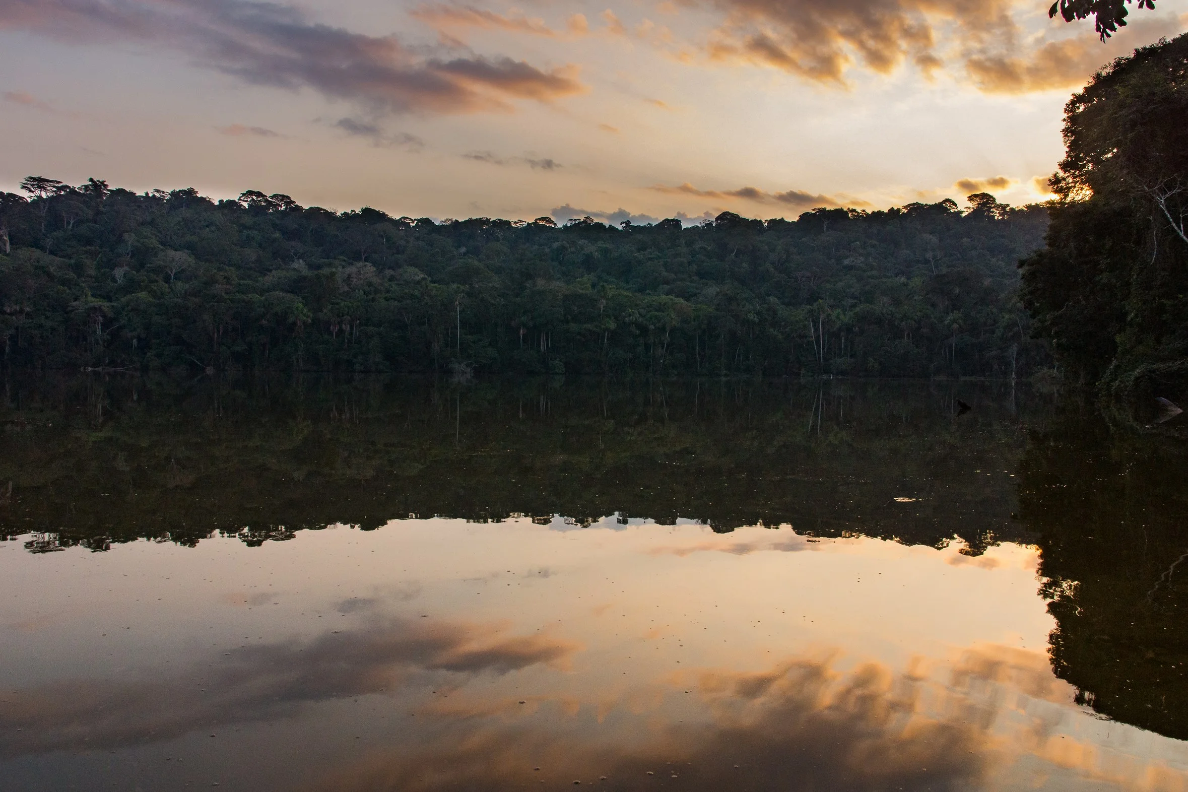 Amazonie bolivienne