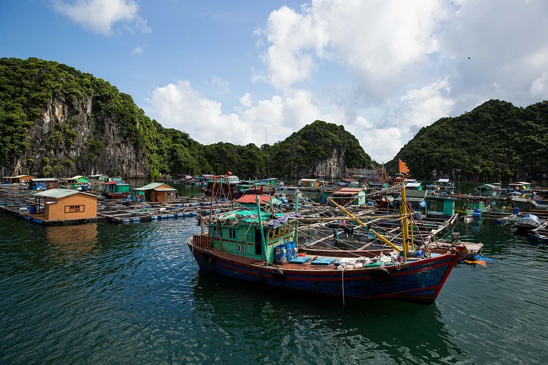 Village de pecheurs dans la baie de lan ha (Viêt Nam)
