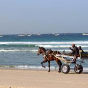 Voyage au Sénégal, rencontre avec l'Afrique