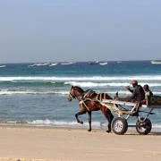 Voyage au Sénégal, rencontre avec l'Afrique