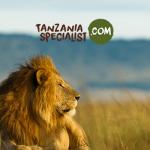Tanzania Specialist