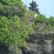Temple d'Uluwatu