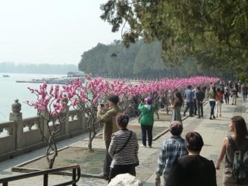Palais d'été à Pékin en Chine