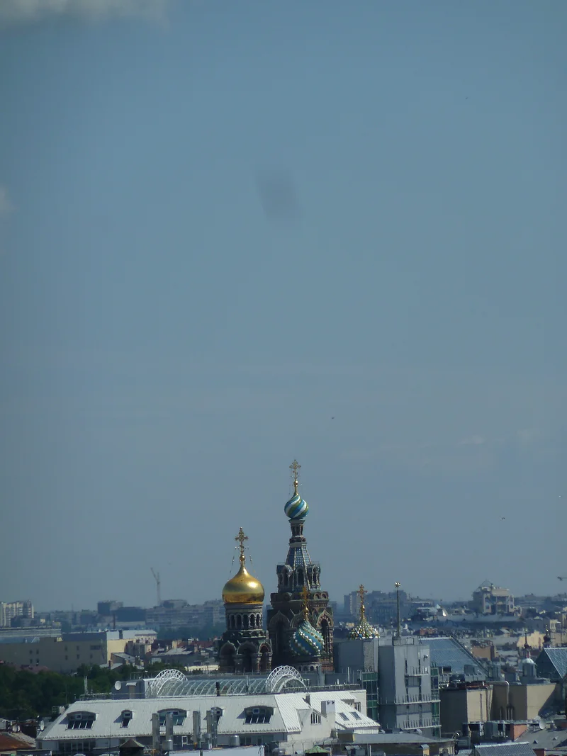 Vue de Saint-Pétersbourg  — Cathédrale Saint-Sauveur (Russie)
