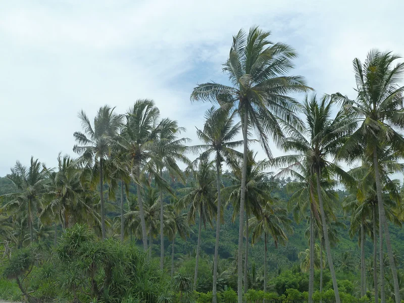 Lombok (Indonésie)