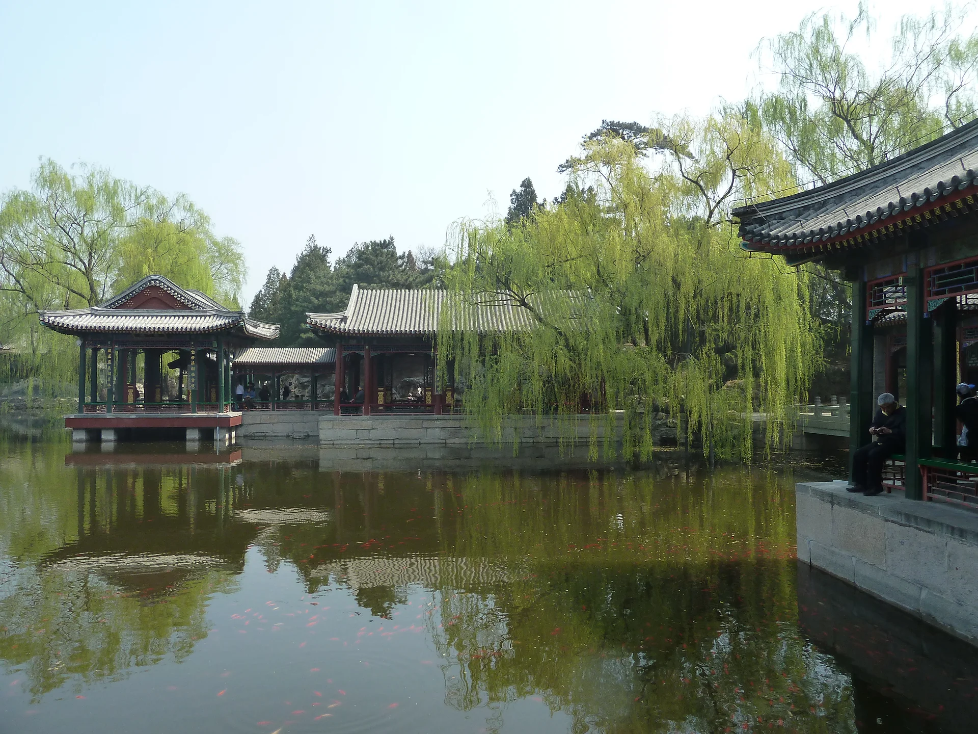 Jardins à Pékin en CHine Jardins à Pékin en CHine — Pékin (Chine)
