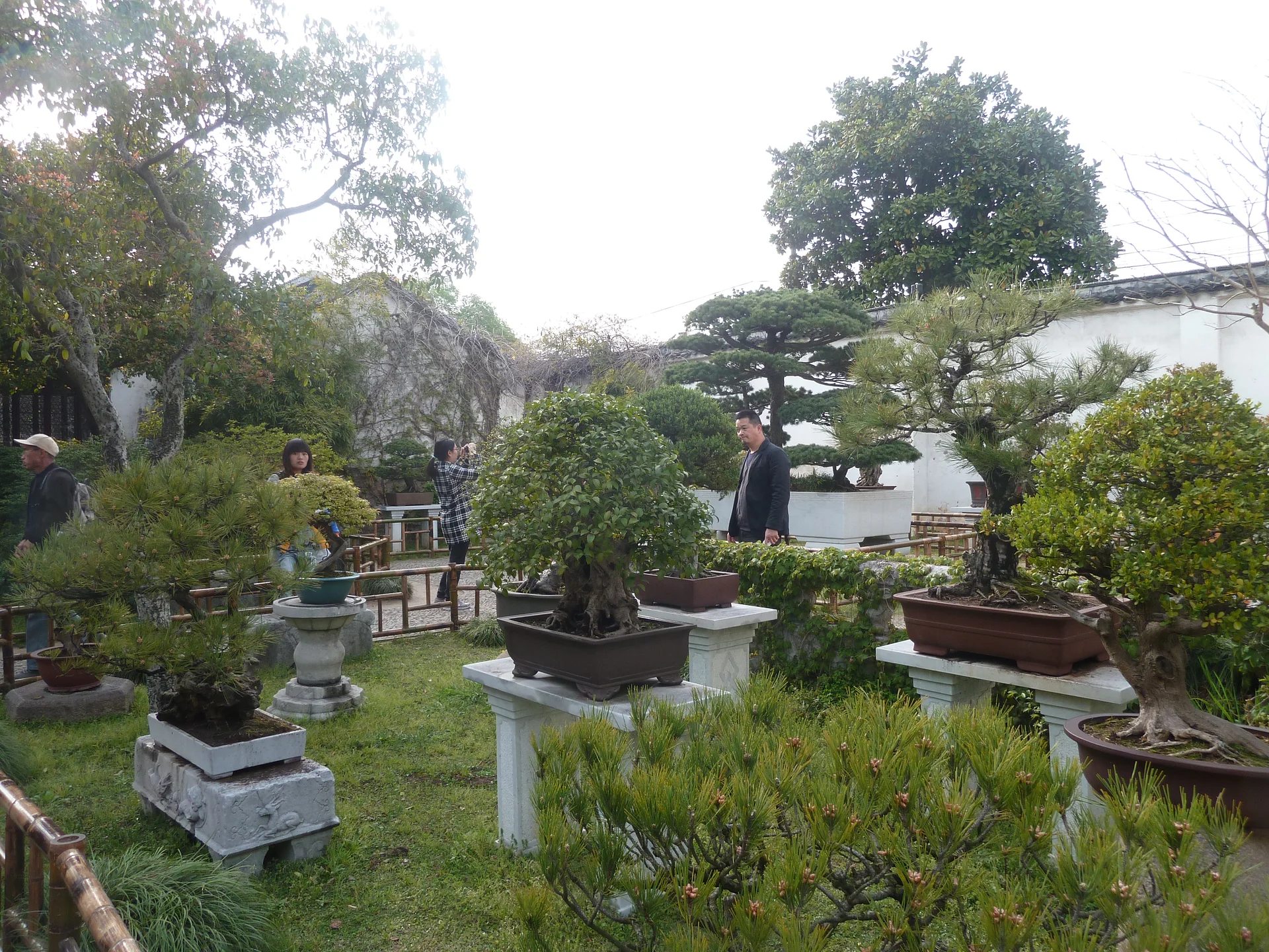 Suzhou en Chine Suzhou en Chine — Jardin de l'humble administrateur (Zhuozheng Yuan) (Chine)