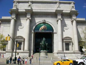 Museum of Natural History