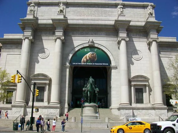 Museum of Natural History — Musée américain d'histoire naturelle (Etats-Unis)
