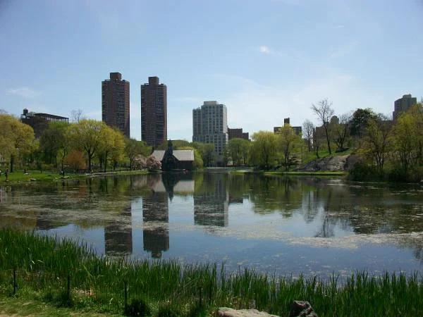 Etang Etang — Central Park de New-York (Etats-Unis)