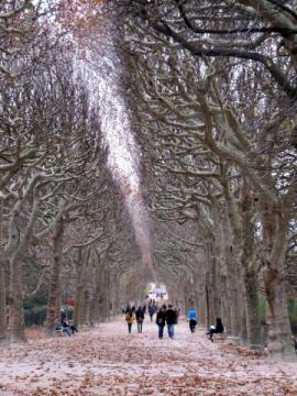 Paysage fantômatique