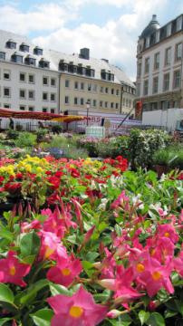 Marché de la place Guillaume II