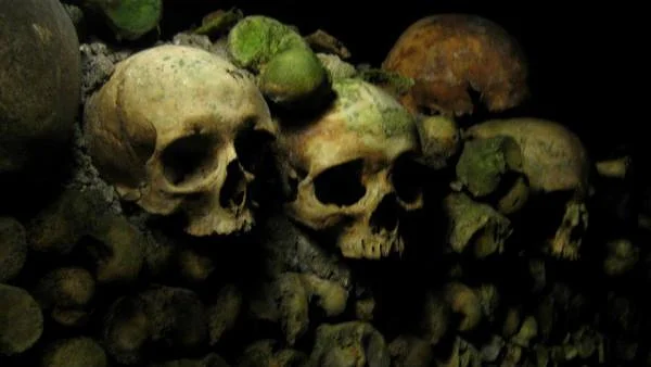 Mur osseux — Catacombes de Paris (France)