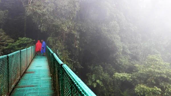 Ponts suspendus — Monteverde (Costa Rica)