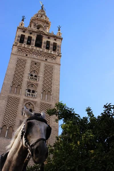 210 — Séville (Espagne)