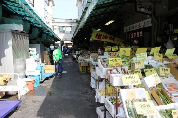 Tsukiji Market — Marché aux poissons de Tsukiji (Japon)